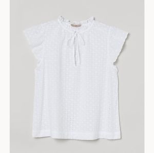 H&M Eyelet Embroidered Top